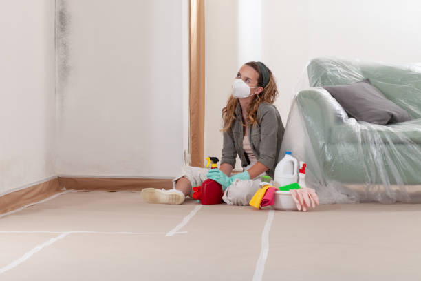 Reliable Black Mold Remediation contractor in Anna, TX by 24 Hour Mold Removal